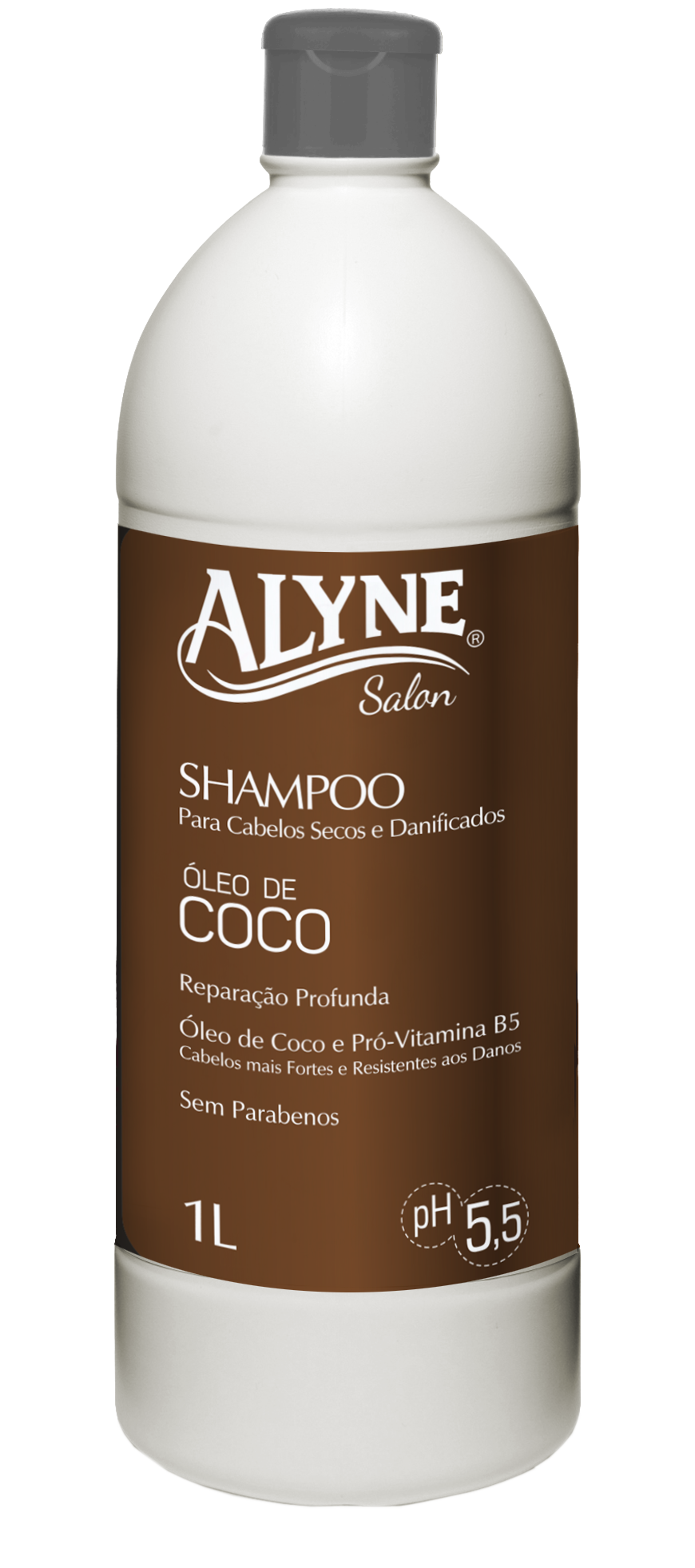 Shampoo Alyne Óleo de Coco 1L
