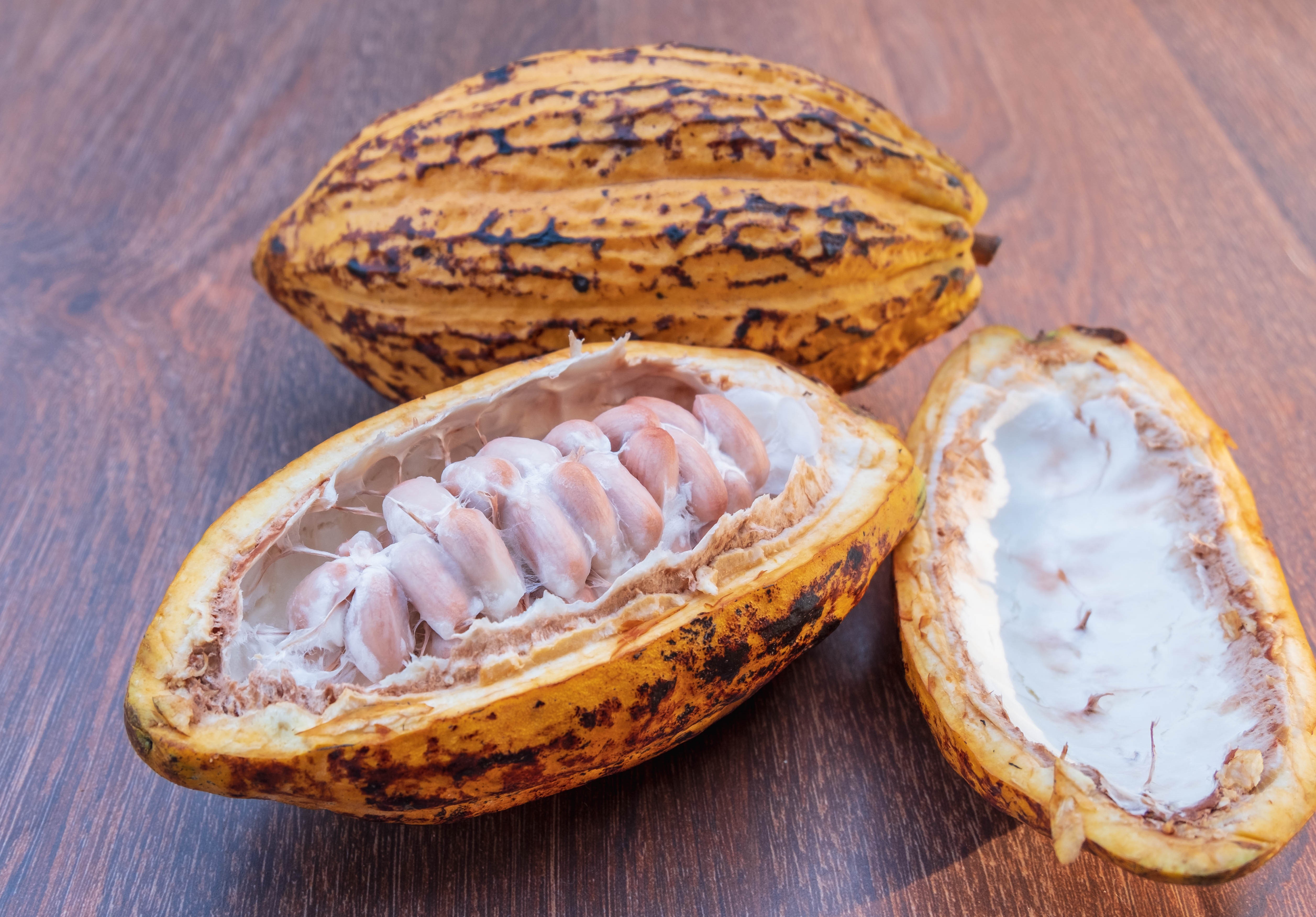 fresh-cocoa-fruits-with-half-sliced-on-wooden-table.jpg